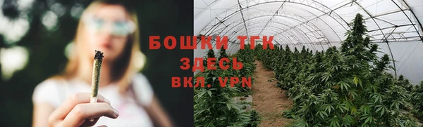 СК Богданович