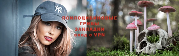 СК Богданович