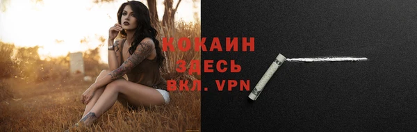 хмурый Богородицк